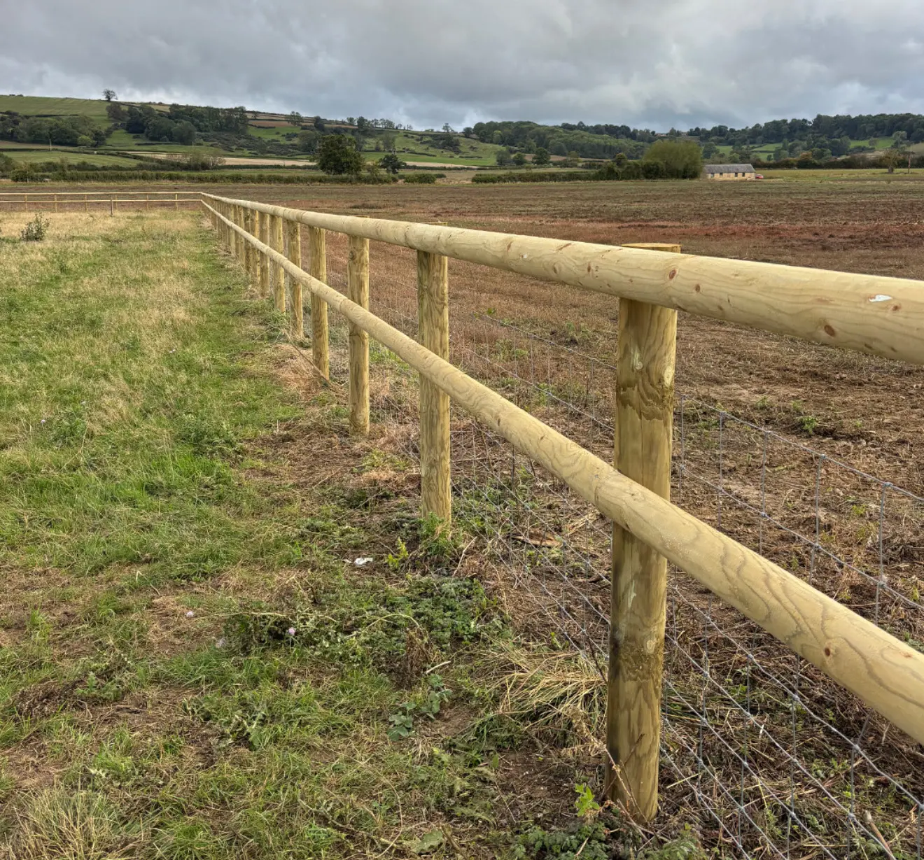 Stock fencing installed on a rural property near Haslemere