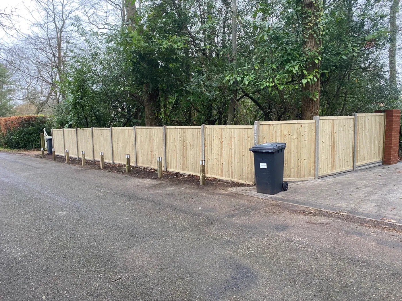 Long run of new feather edge fencing installed along a driveway boundary near Haslemere