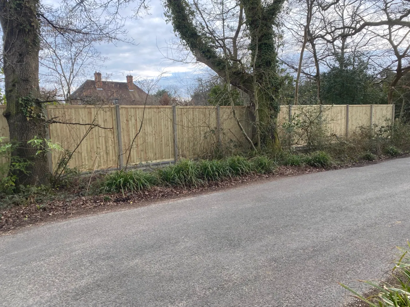 Feather edge fence panels installed beside a village lane near Haslemere