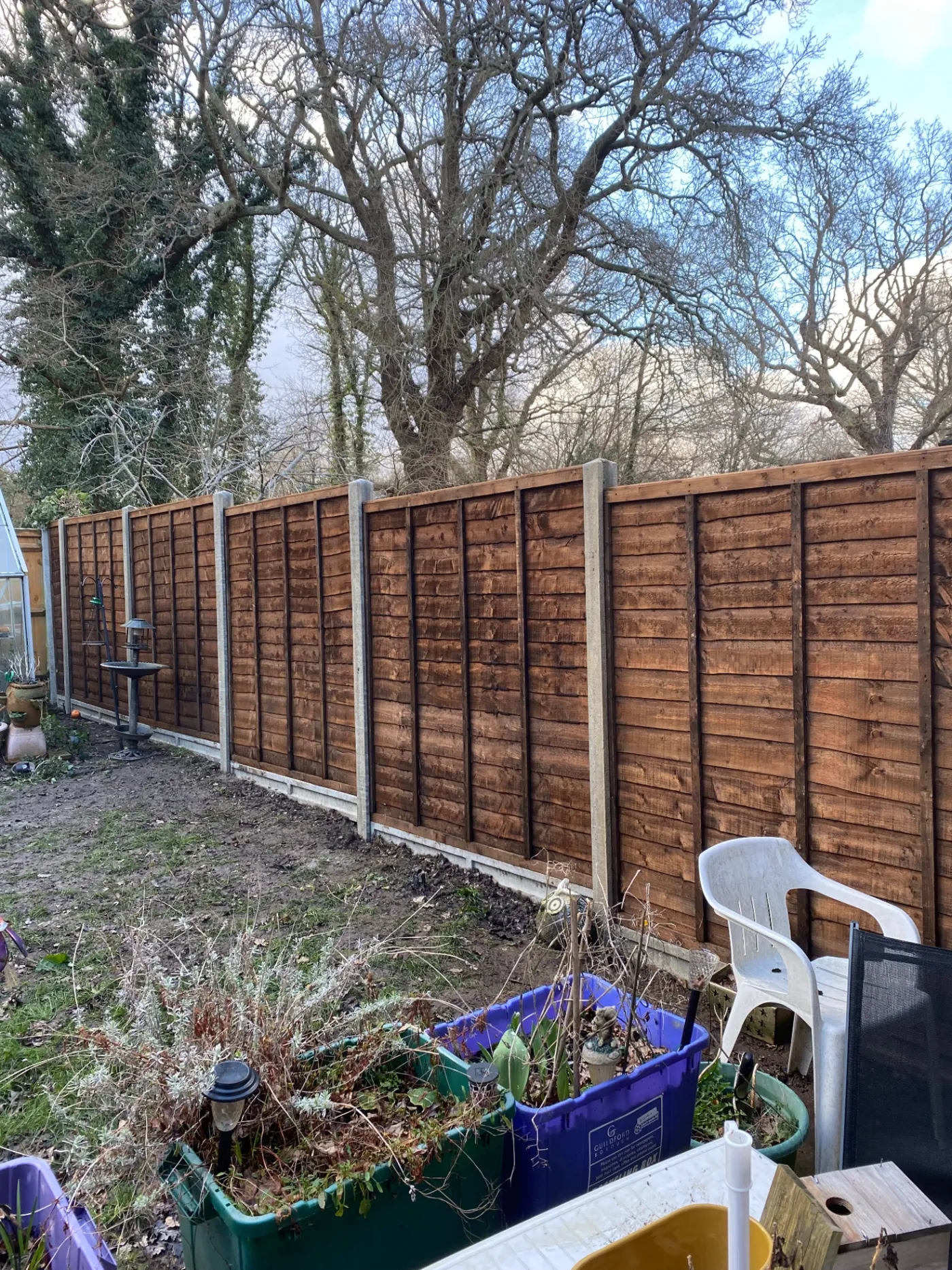 Lap garden fence panels replaced behind a Haslemere garden